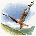 Heritage, ����� ��� ��������� ��������� / 652 "Red Kite in Flight"