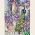 MAIA / 01027 "The Peacock" 30 � 40 ��