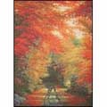CANDAMAR / 52400 "Autumn in New England"