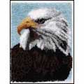 Caron / 4306   Bald Eagle