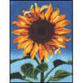 Caron / CC0301   Garden Sunflower