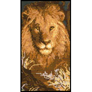 ������� ���� / 569 ���