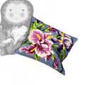 Collection D'Art / 5050