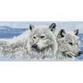 DMC / BK191  "Company of wolves"
