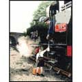 HERITAGE / 885 "Sam"