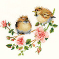 HERITAGE / 778 "Rose Chick-Chat"