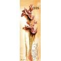 LANARTE / 34925 "Iris - Botanical"