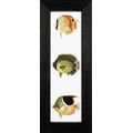 LANARTE / 35083 "Tropical Fish Panel"