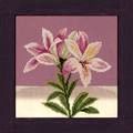 LANARTE / 35095 "Stargazer Lily Study"