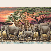 MAIA / 01026 ����������� ����� 30 � 40 ��