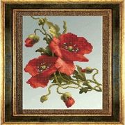 ���i��� ���� / ��-006