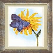 ���i��� ���� / ��-013