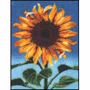 Caron / CC0301   Garden Sunflower