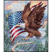 DIMENSIONS / 35077 Flight of Freedom