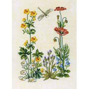 EVA ROSENSTAND / 12-253  ������ � ���