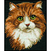 ������� ���� / 765 ����� ���