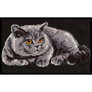 ������� ���� / 848 ��������