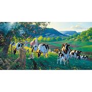 SunsOut / 71186 ����� ��� ������ ������