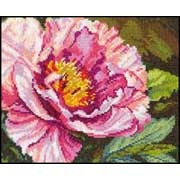 ����� / 2-15 ����