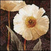 ����� / 2-16 �������� �����