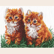 �������� ���� / 5805  ����� ������