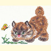 �������� ���� / 1504  ������