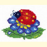 �������� ���� / 1009  ����� �������