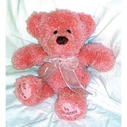 CANDAMAR / 36114 ������� ����������