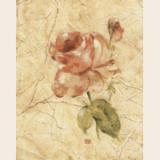 CANDAMAR / 51345 ����