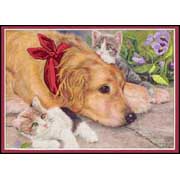 DIMENSIONS / 06228  ������� �������