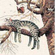 DIMENSIONS / 35087 ������� ������