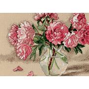 DIMENSIONS / 65048 ����� � ����