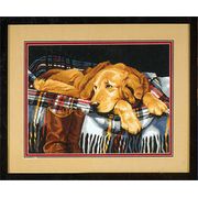 DIMENSIONS / 91110 ��������� ����