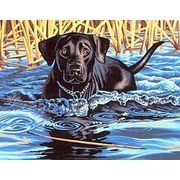 DIMENSIONS / 91210 �������� ����, ������� ������