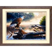 DIMENSIONS / 91379 ����-�������