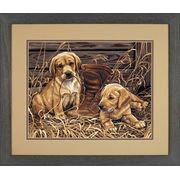 DIMENSIONS / 91402 �������� �����