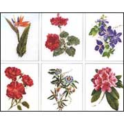 THEA GOUVERNEUR / 3081 ������ ������ 1