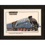 HERITAGE / 125  Mallard