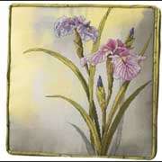 JANLYNN / 023-0436  �����