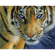 Kustom Krafts / 35017 ������������ ����