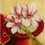 LANARTE / 35008 ����� �������-3