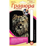 LORI (������) / ��-218 ������� ����� �� ������ ����������� ������