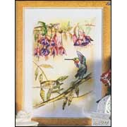 Orchidea / 8137 �������