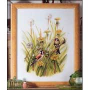 Orchidea / 8148 ����� � �����������