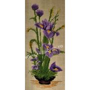 Rogoblen / RGB-7.96 ������� � �������