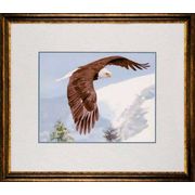 ������ ����� / RI-8 (B-0008 �������)  ������� ��� �����