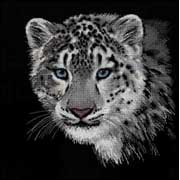 ������� ���� / 100-022 ������� ����