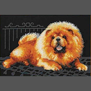 ������� ���� / 1216 ����-���