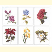 THEA GOUVERNEUR / 3087 ������ ������ 7