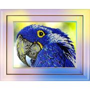 �������� ������� / B-20 �������